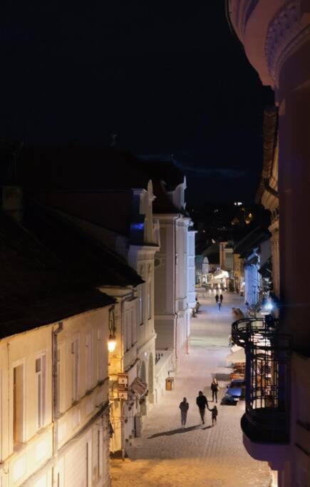 Vista Studio Brasov In The Heart Of The Old City Center Ngoại thất bức ảnh