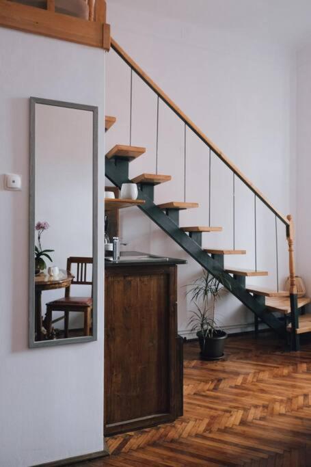 Vista Studio Brasov In The Heart Of The Old City Center Ngoại thất bức ảnh